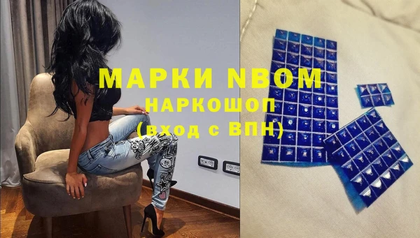 spice Верея