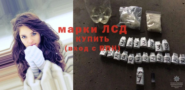 spice Верея