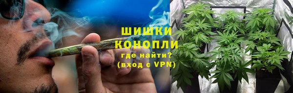 spice Верея