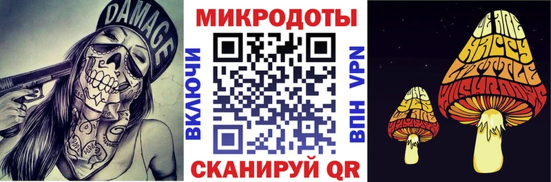 Псилоцибиновые грибы GOLDEN TEACHER  кракен ссылки  Вязники 